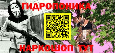 эйфоретик Камышлов