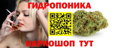 эйфоретик Камышлов