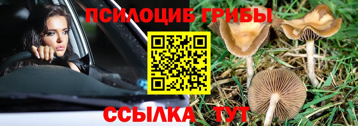Липецк  Псилоцибиновые грибы мицелий  Вход с VPN 